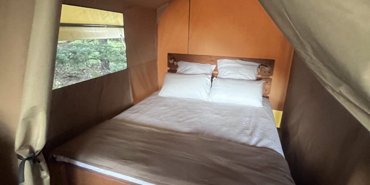 Chambre de la tente safari avec un lit simple et une fenêtre en toile ouverte sur la nature