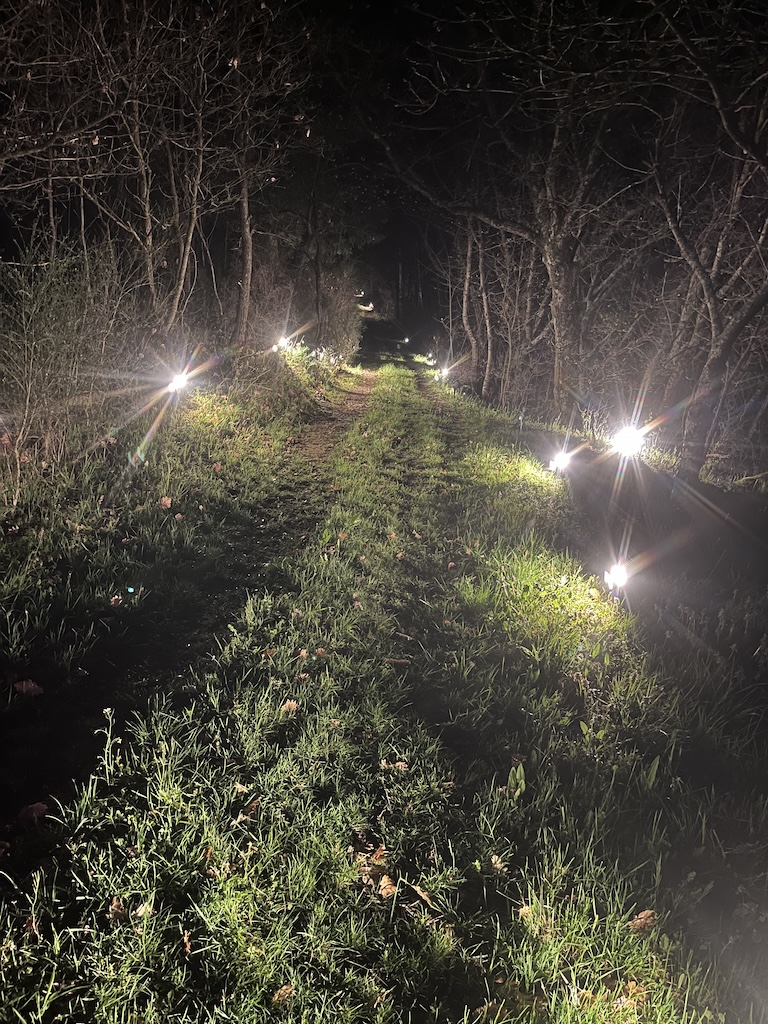 Balade nocturne sur le domaine, lampes allumées dans la végétation sous un ciel noir