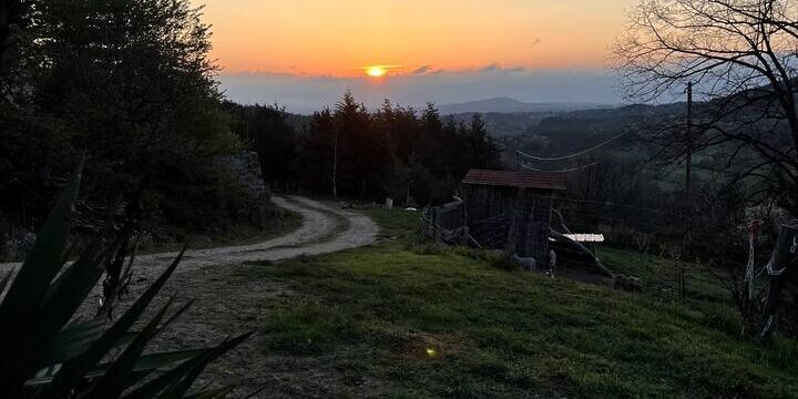 Coucher de soleil sur la vallée depuis le chemin du domaine, silhouettes des arbres au premier plan