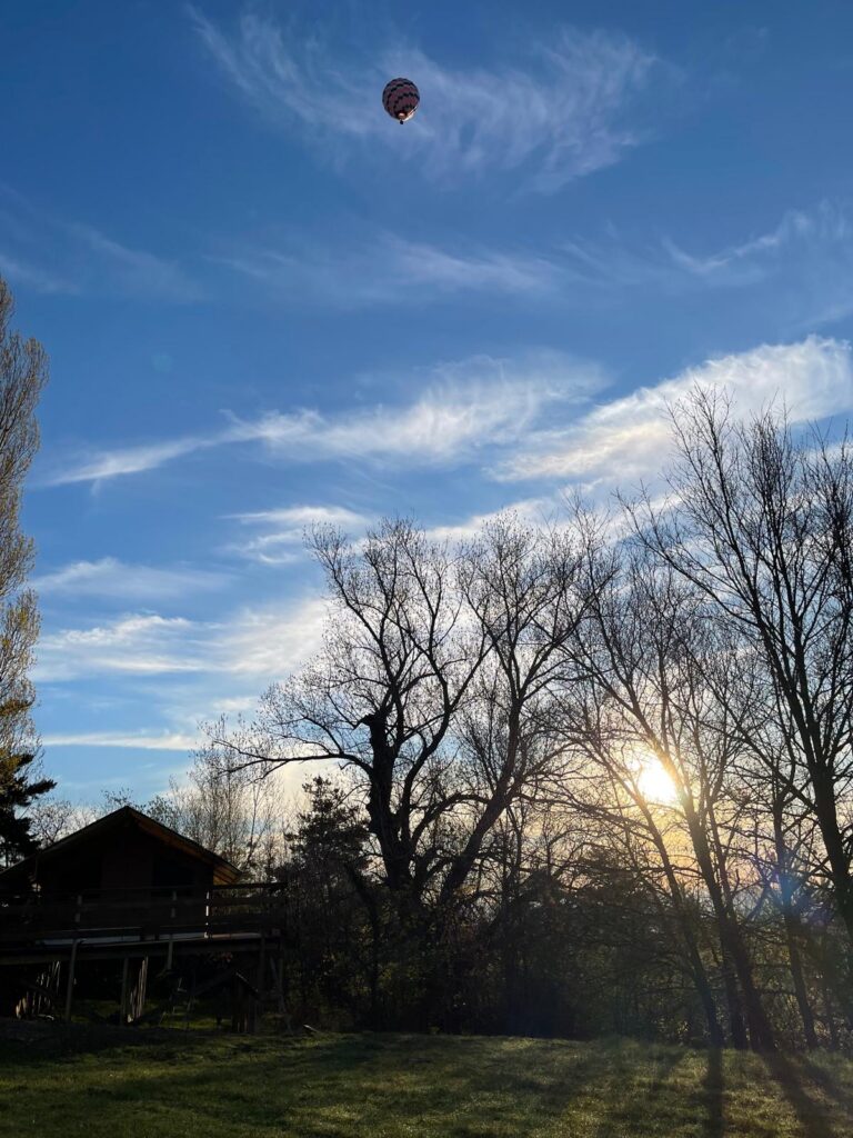 Montgolfière dans le ciel au-dessus des arbres du domaine, au coucher du soleil
