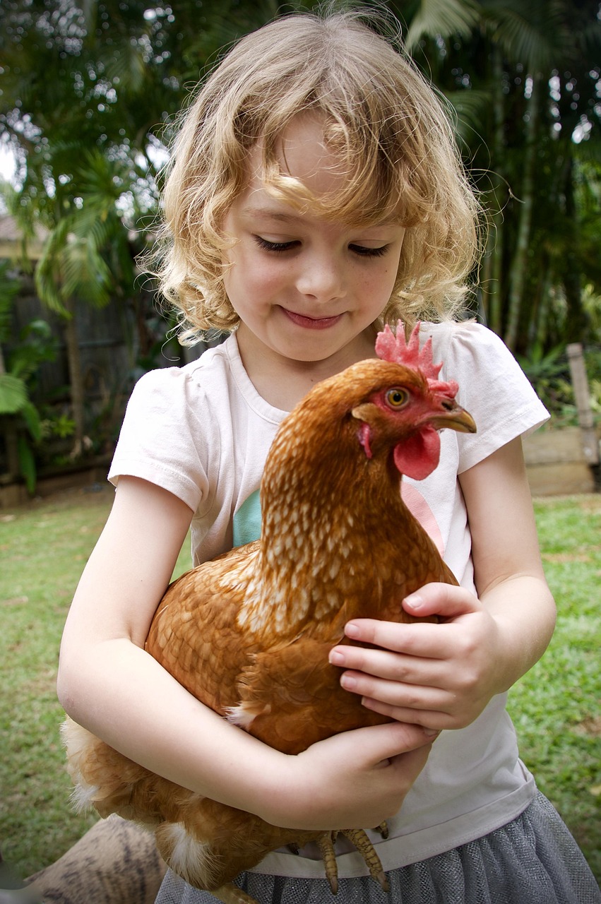 Petite fille souriante tenant une poule rousse dans ses bras